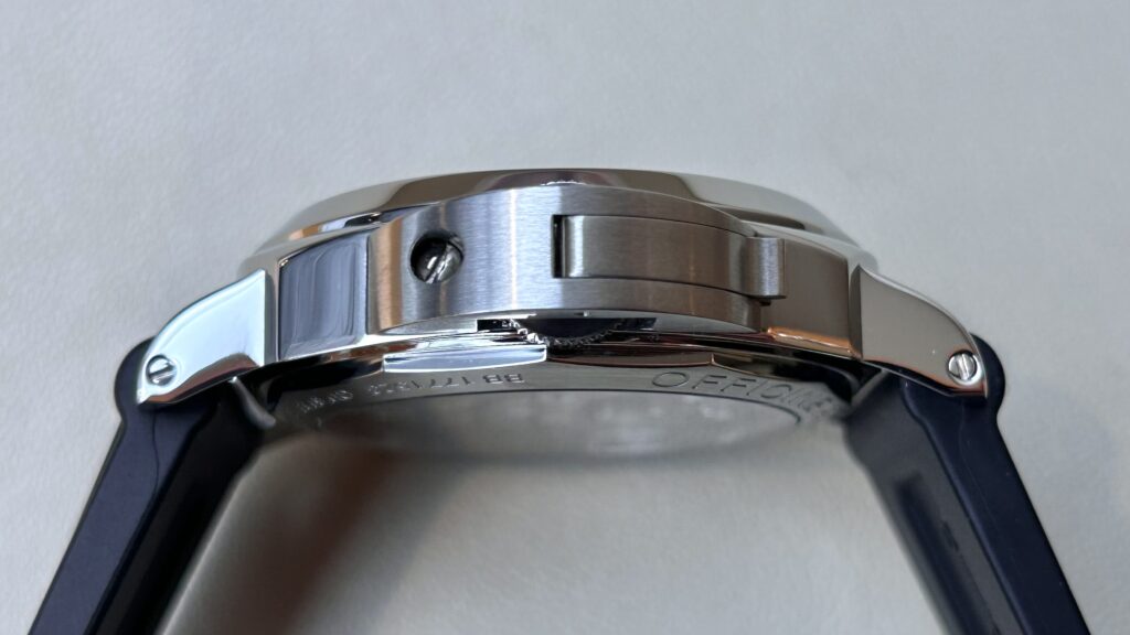 PAM00112 ストレートなパネライの紹介画像