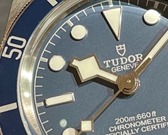 TUDORが歩む独自の道のりの紹介画像