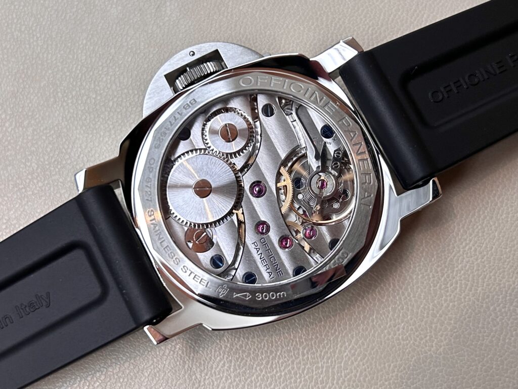 PAM00112 ストレートなパネライの紹介画像