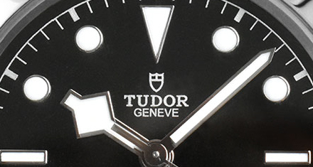 ～ チューダー (TUDOR) という選択～の紹介画像